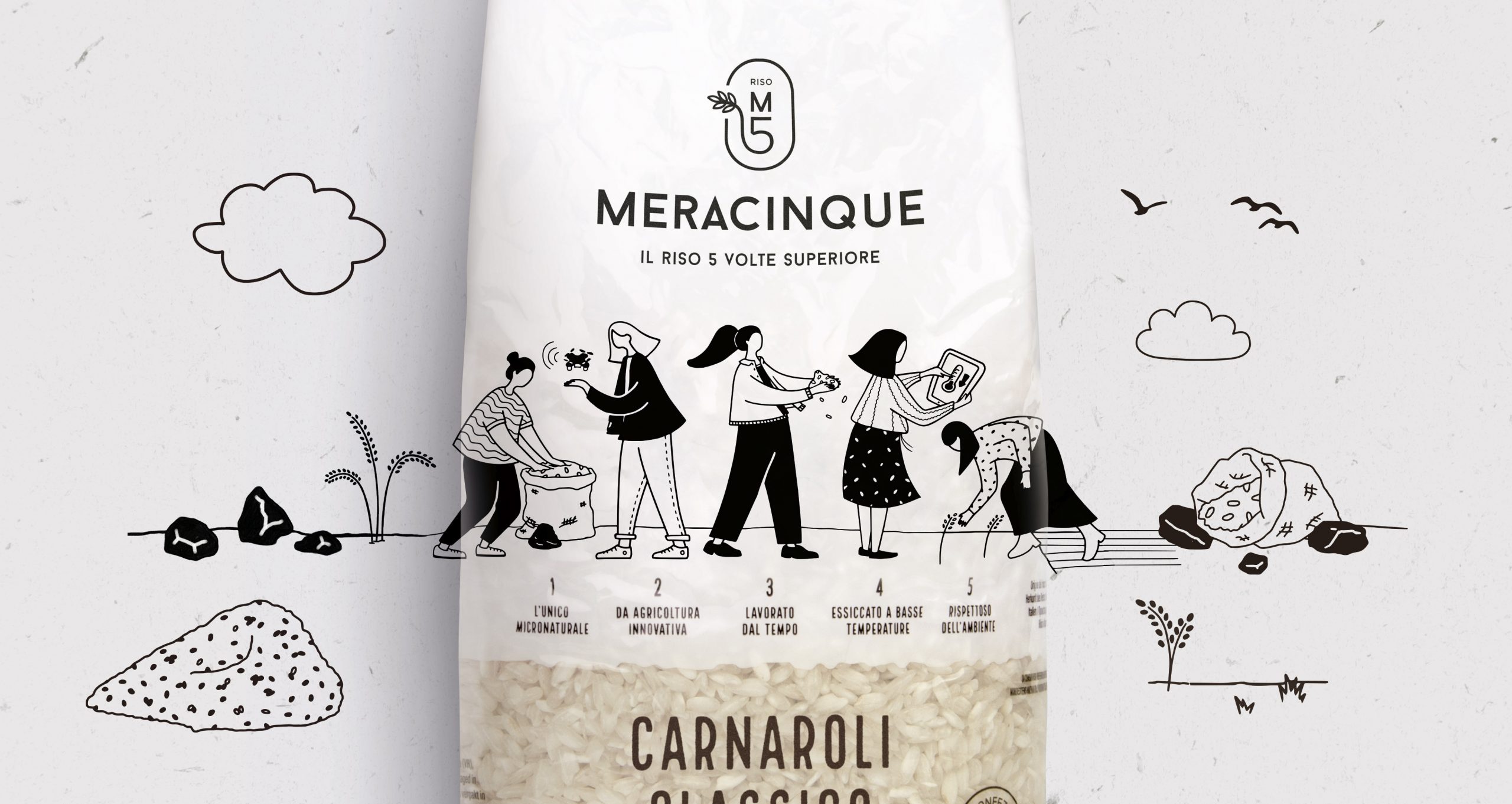 包裝設計日課分享|五姐妹大米包裝設計