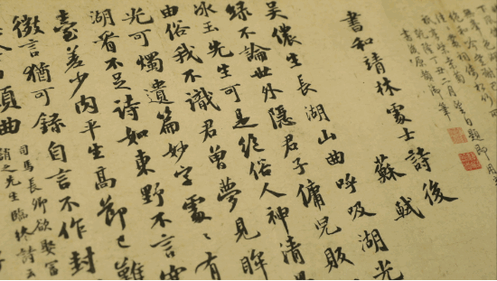 1604373404570426.gif 23.gif