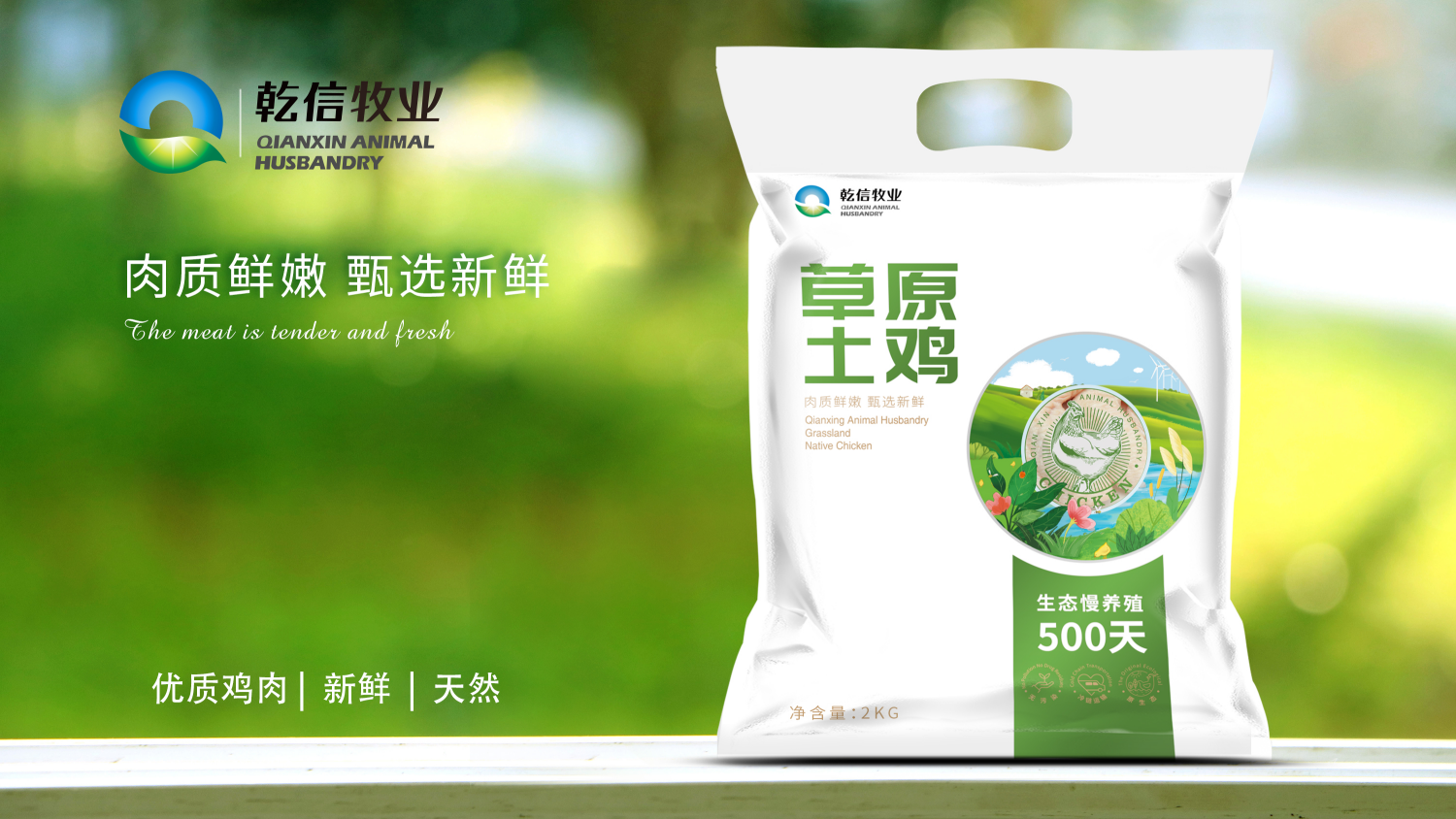 1605662567575801.png 1605662567575801.png