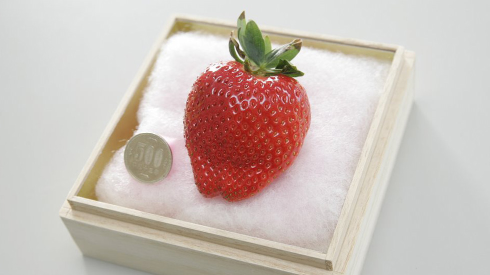 1606787724583078.jpg 1606787724583078.jpg