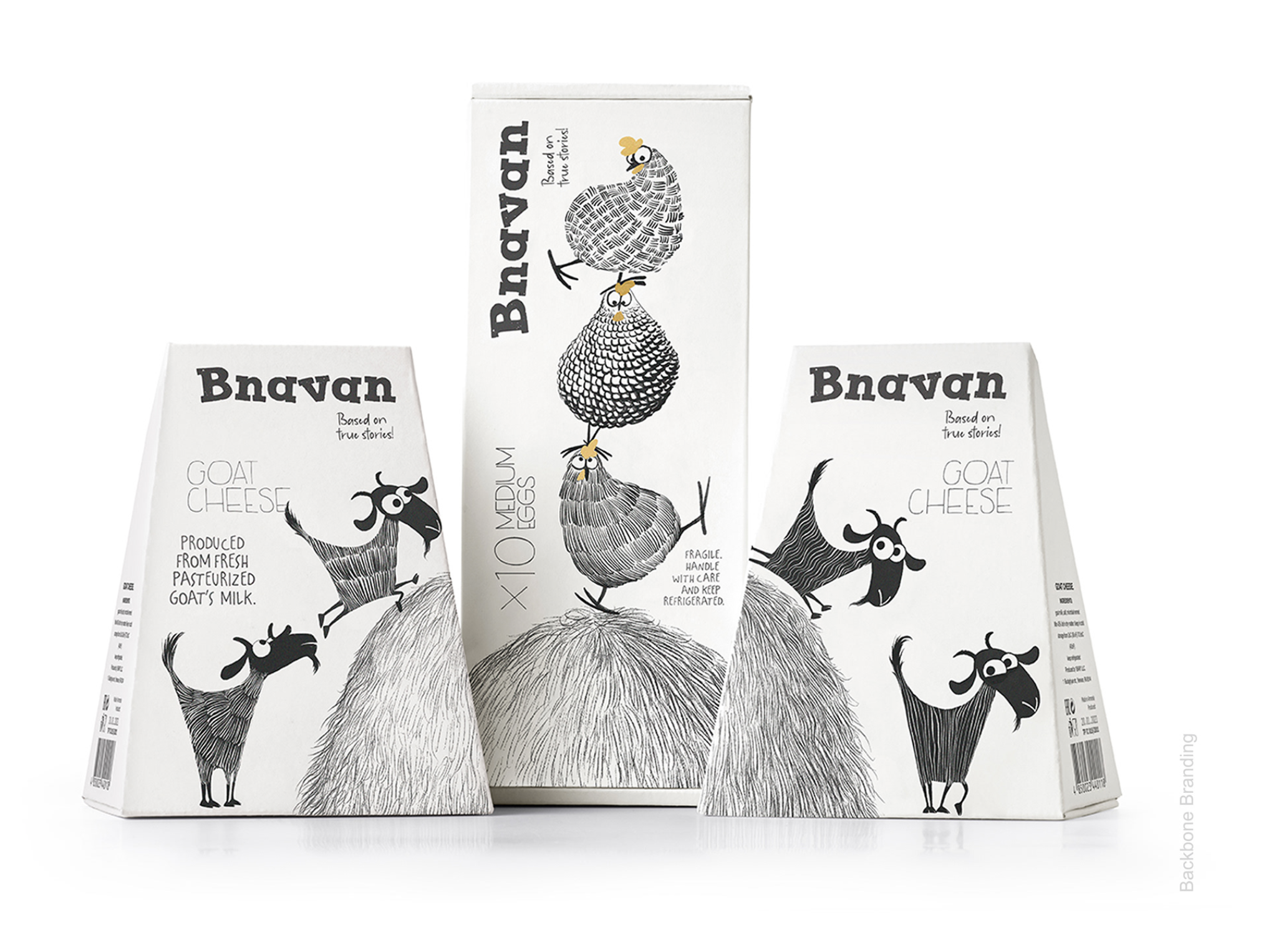 雞蛋包裝設(shè)計 雞蛋包裝設(shè)計