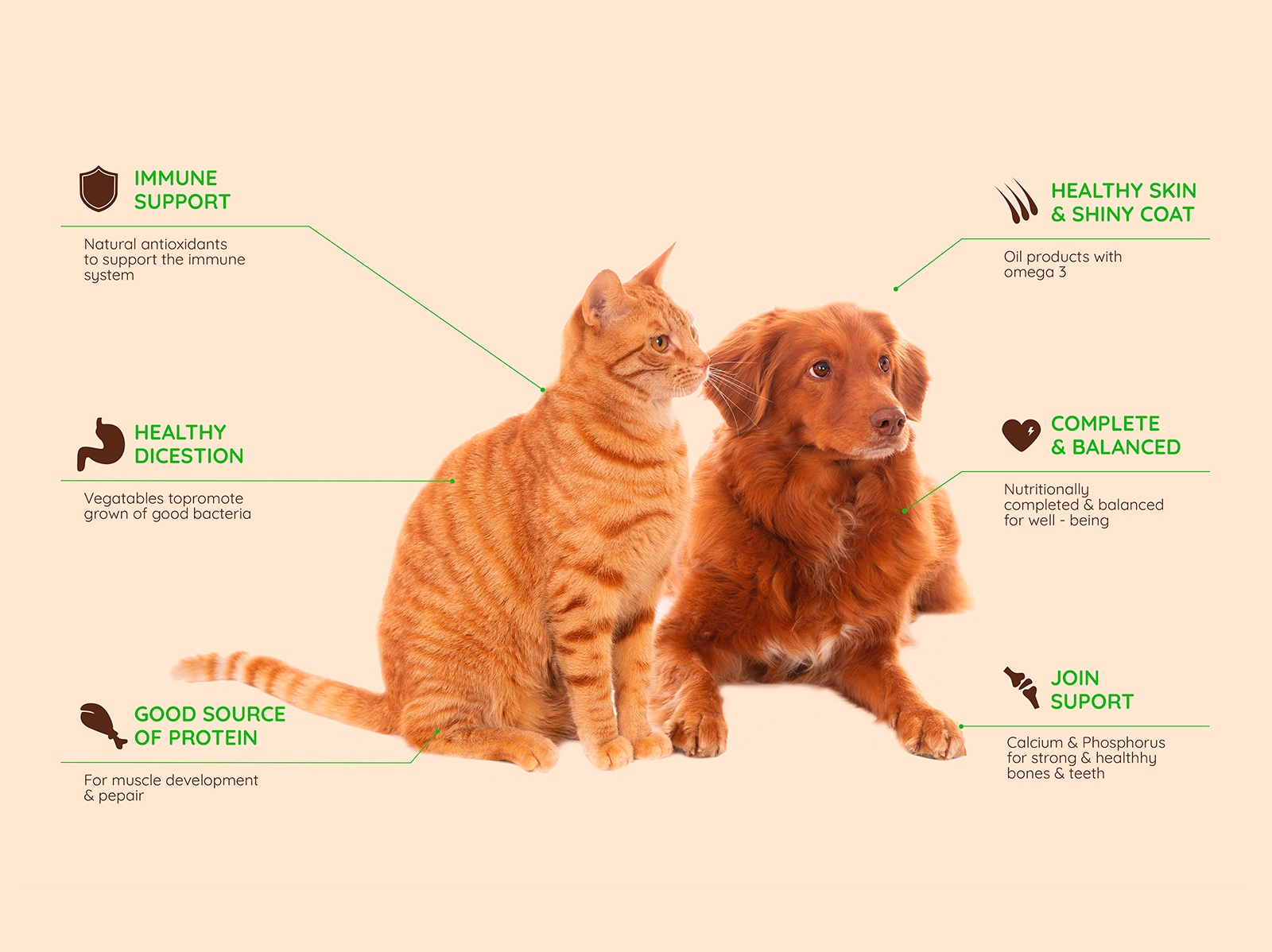 狗糧包裝設(shè)計(jì) 狗糧包裝設(shè)計(jì)