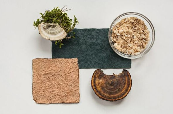 Woola、LivingPackets 和 Releaf Paper 入圍 LVMH 創(chuàng)新設(shè)計(jì)獎(jiǎng)決賽