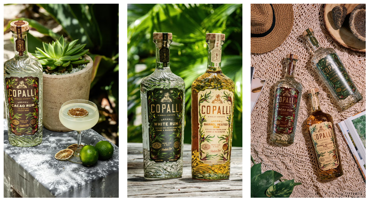 1719538978978525.png image.png