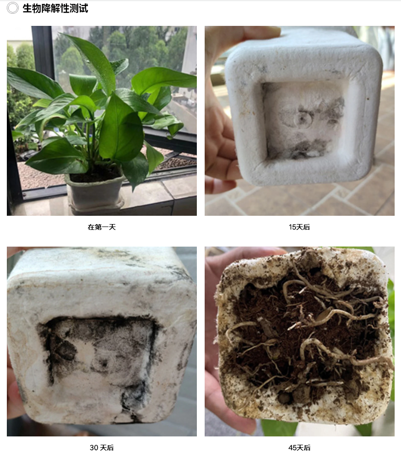 1719806091497463.png image.png