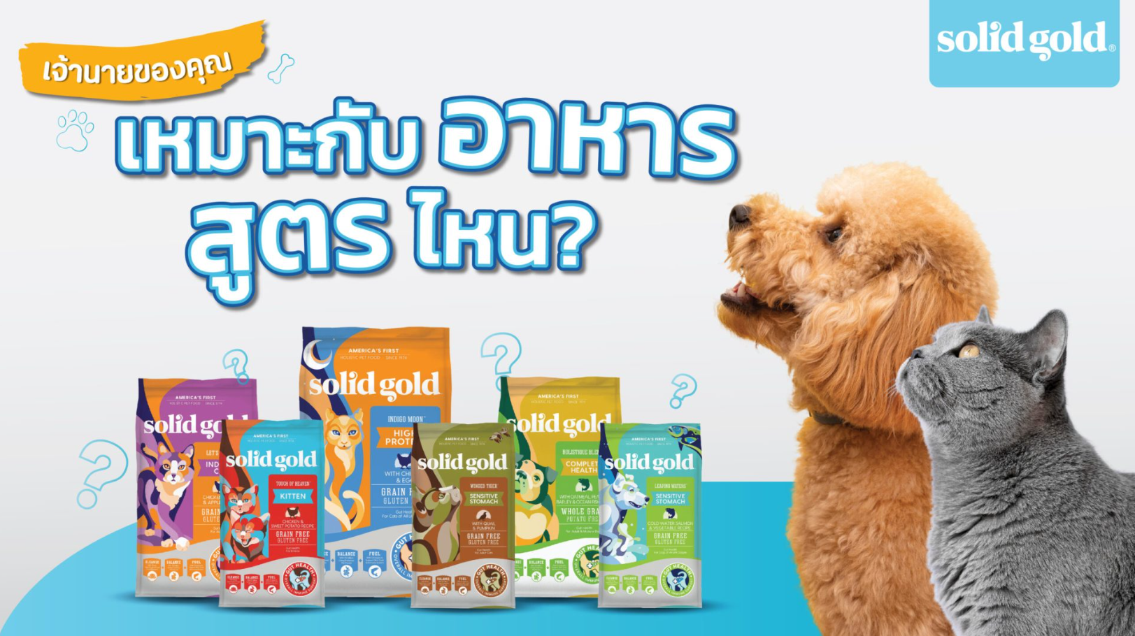 1728550692170663.png image.png