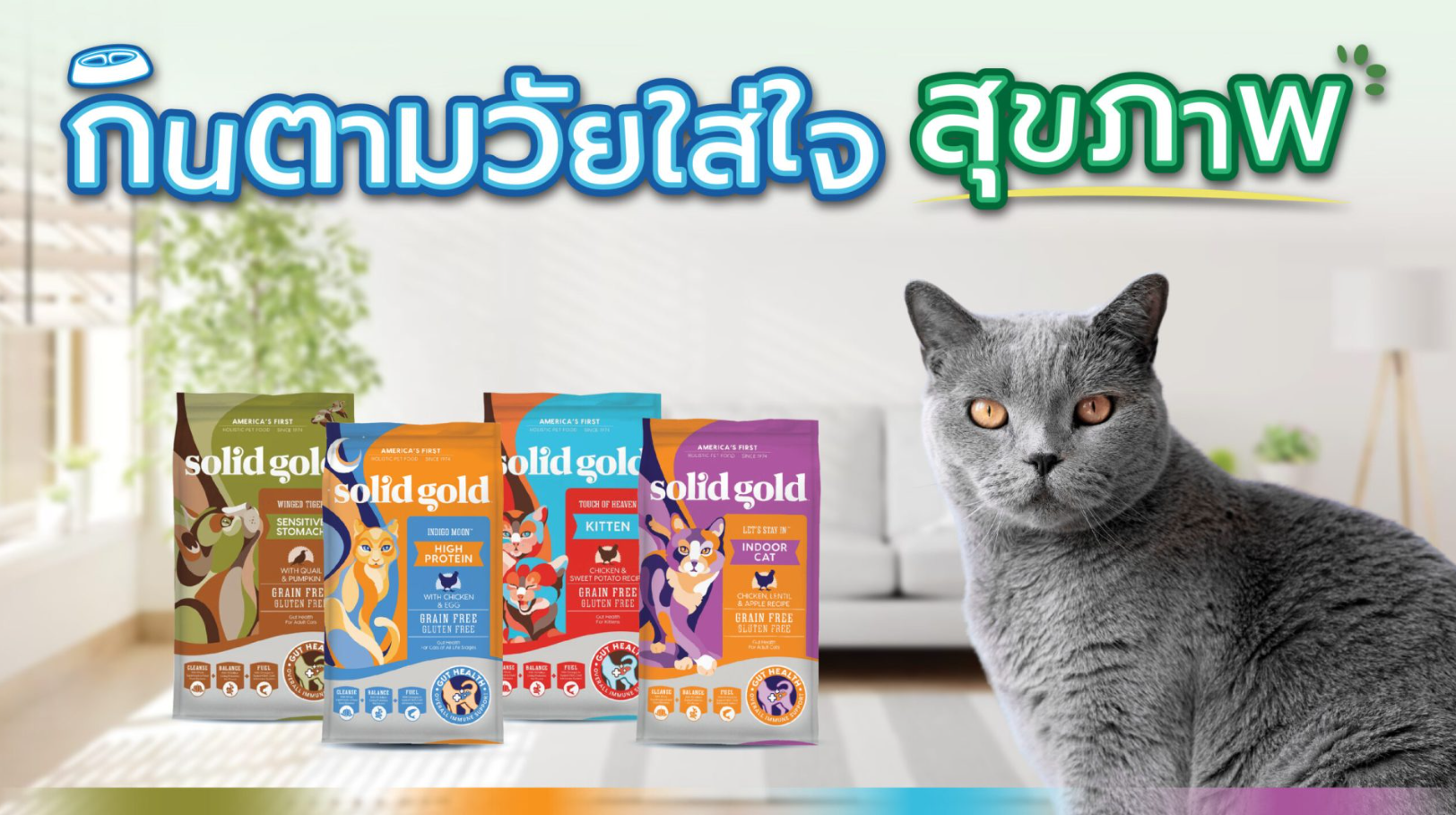 1728550709746575.png image.png