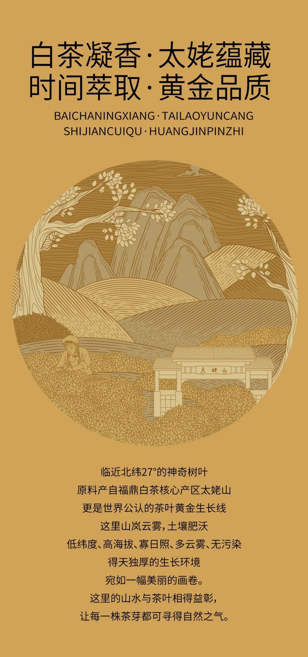 北京茶葉專業(yè)包裝設(shè)計(jì)公司 北京茶葉專業(yè)包裝設(shè)計(jì)公司