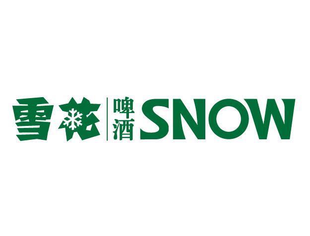 雪花啤酒包裝設(shè)計 雪花啤酒包裝設(shè)計
